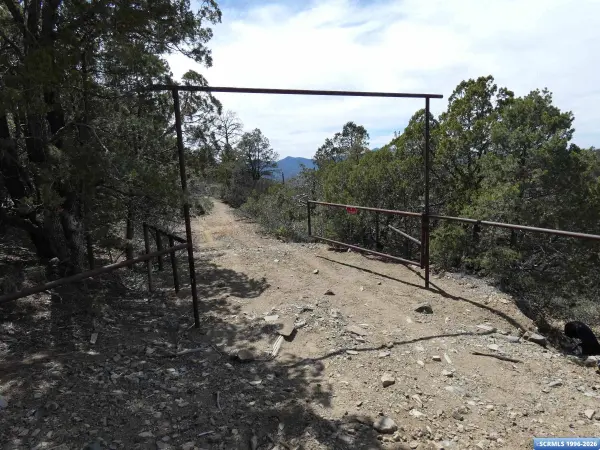 ## Radio Tower RD, Pinos Altos, NM 88053