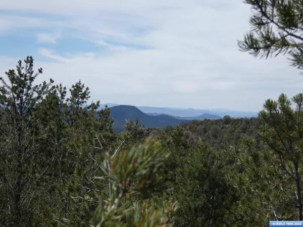 ## Radio Tower RD, Pinos Altos, NM 88053