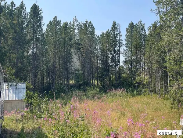 4114 S Big Springs Loop Road, Island Park, ID 83429