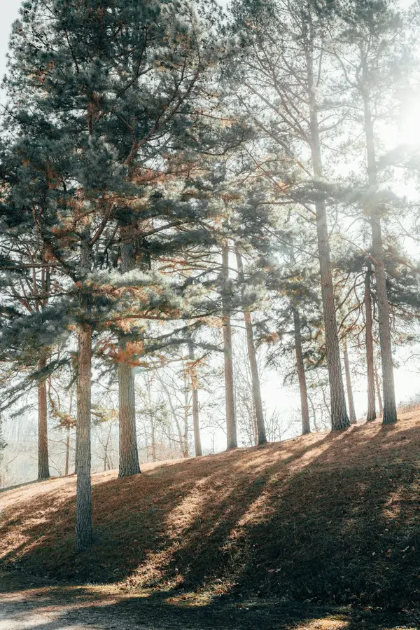 feature image of A Buyer’s Guide to Finding the Right Home in Northwest Arkansas