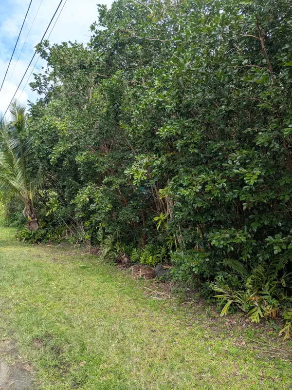 12-261 E Pohakupele Loop, Pahoa, HI 96778-7879