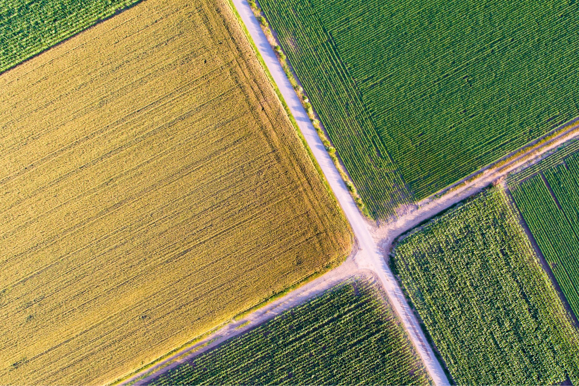 Shelley Idaho Homes For Sale