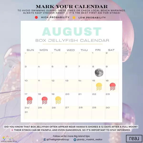 Box Jellyfish Calendar