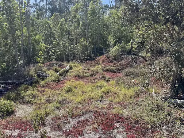 OHIA DR, Ocean View, HI 96737