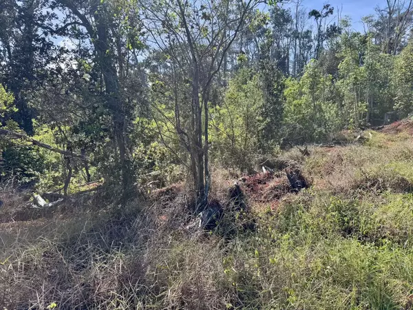 OHIA DR, Ocean View, HI 96737