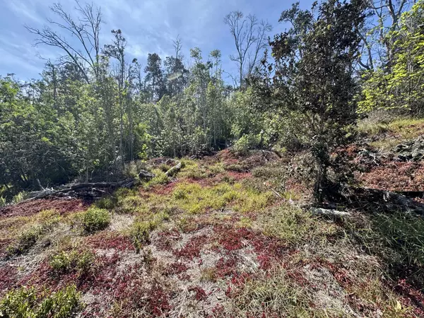 OHIA DR, Ocean View, HI 96737