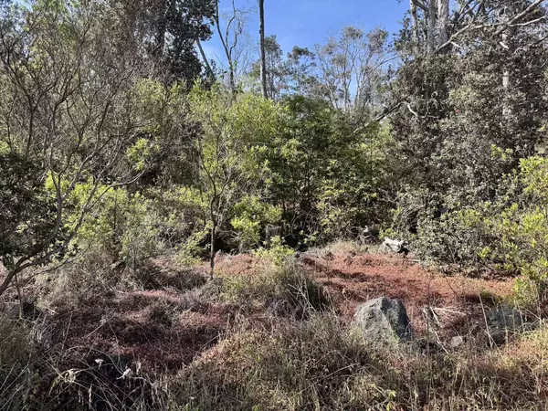 OHIA DR, Ocean View, HI 96737