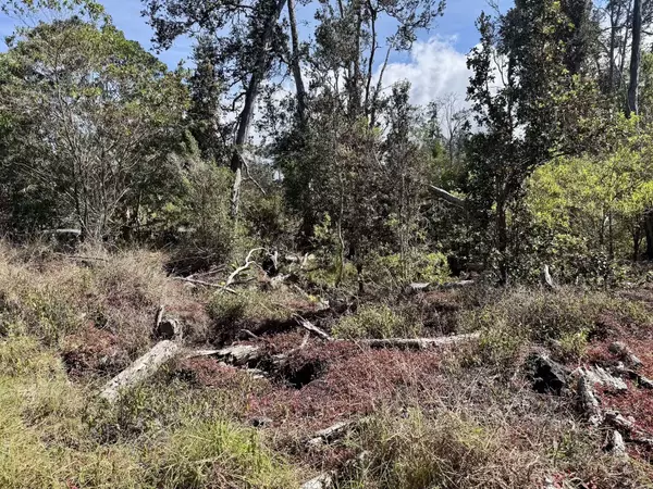 OHIA DR, Ocean View, HI 96737