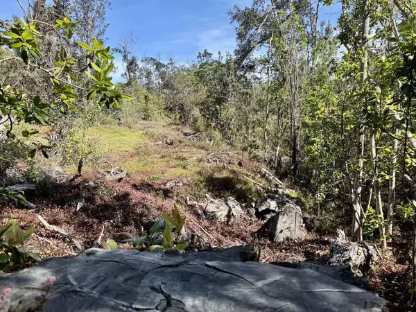 OHIA DR, Ocean View, HI 96737