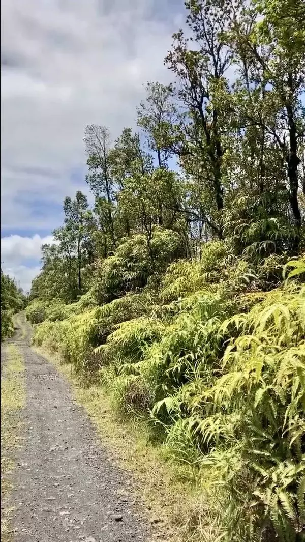 KOPAA ST, Mountain View, HI 96771