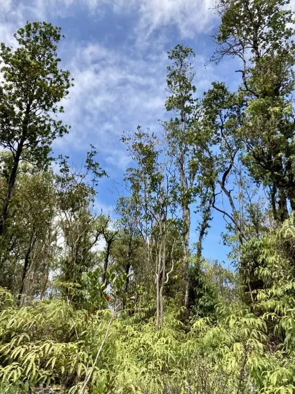 KOPAA ST, Mountain View, HI 96771