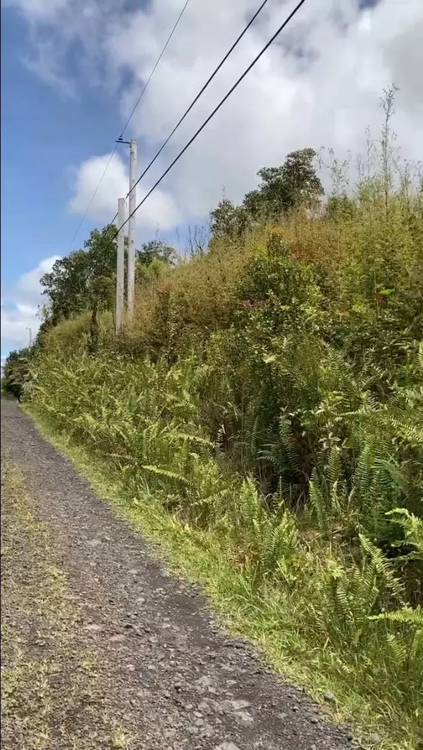 KOPAA ST, Mountain View, HI 96771