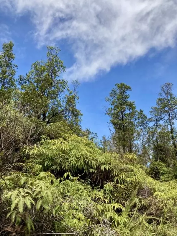 KOPAA ST, Mountain View, HI 96771