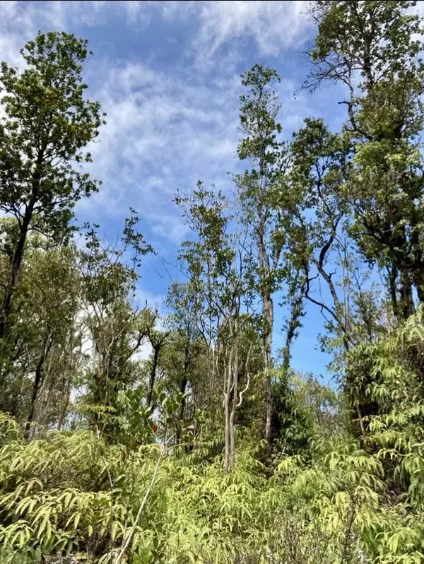 KOPAA ST, Mountain View, HI 96771