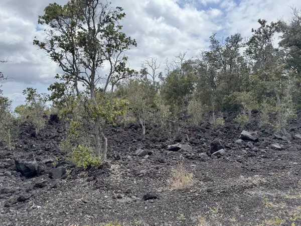 Ocean View, HI 96737