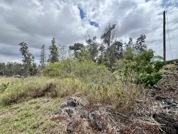 Ocean View, HI 96737