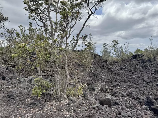 Ocean View, HI 96737