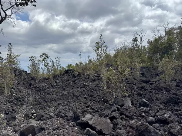 Ocean View, HI 96737