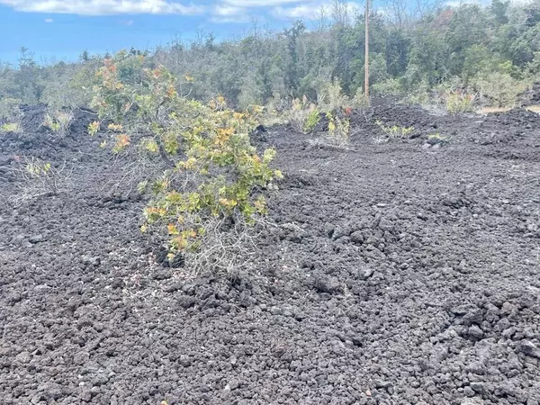 CATAMARAN LN, Ocean View, HI 96737