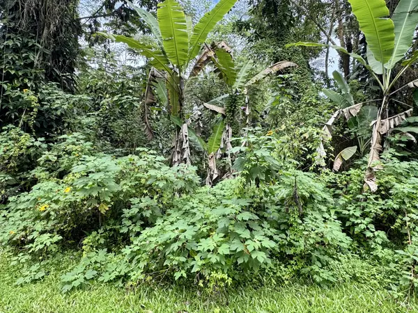 PIKAKE RD, Pahoa, HI 96778