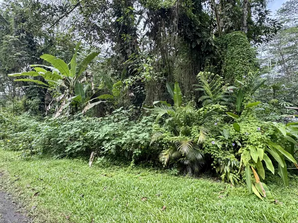 PIKAKE RD, Pahoa, HI 96778