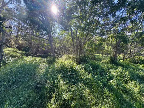 TRADE WIND BLVD, Ocean View, HI 96737
