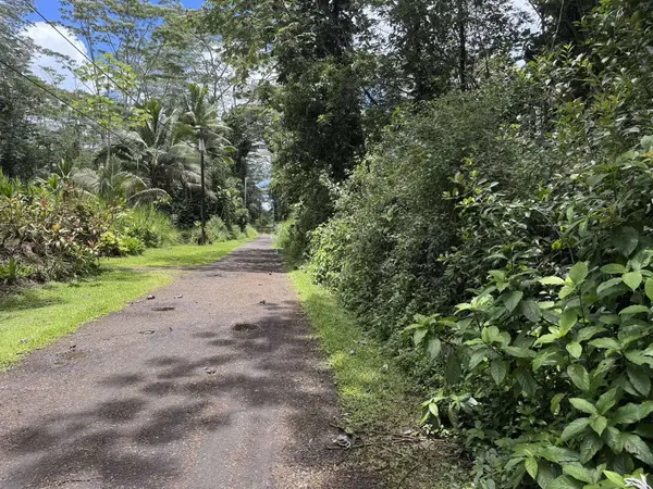 PLUMERIA RD, Pahoa, HI 96778