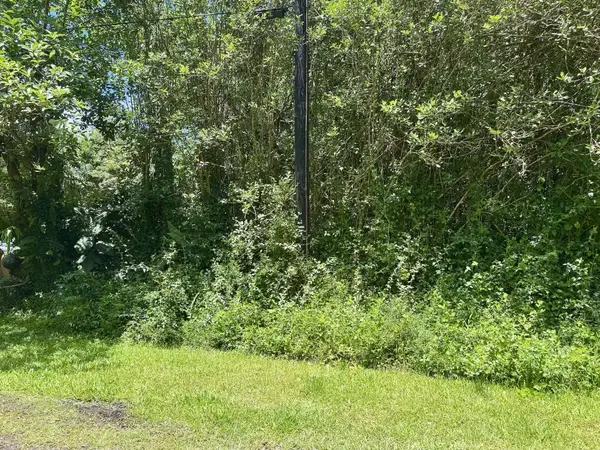 LANAI RD, Pahoa, HI 96778