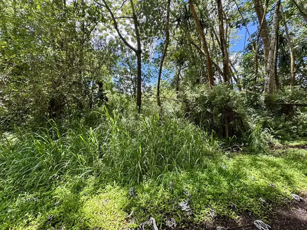 LANAI RD, Pahoa, HI 96778