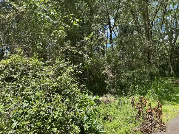 LANAI RD, Pahoa, HI 96778
