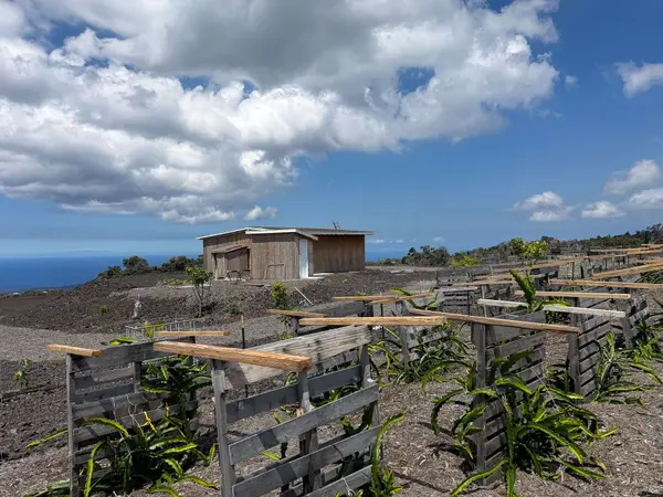 92-8343 MAMALAHOA HWY, Ocean View, HI 96737