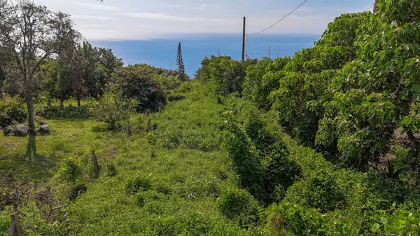 88-1601 MOANA DR, Captain Cook, HI 96704