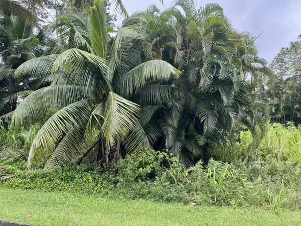 LAI ST, Pahoa, HI 96778