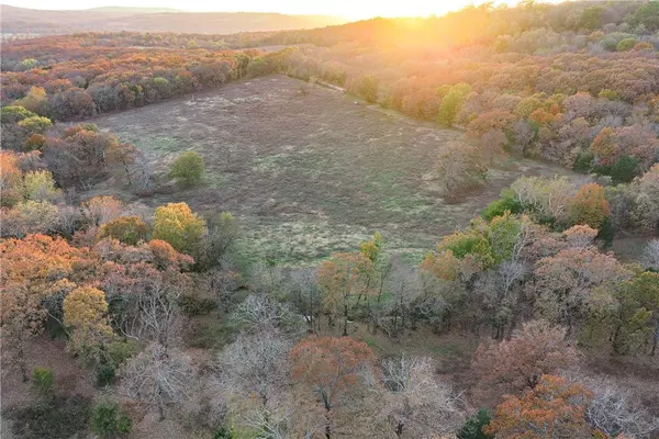 19137 Vineyard Rd, Canehill, AR 72717