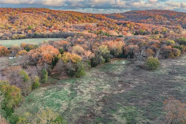 19137 Vineyard Rd, Canehill, AR 72717