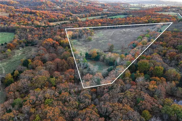 19137 Vineyard Rd, Canehill, AR 72717