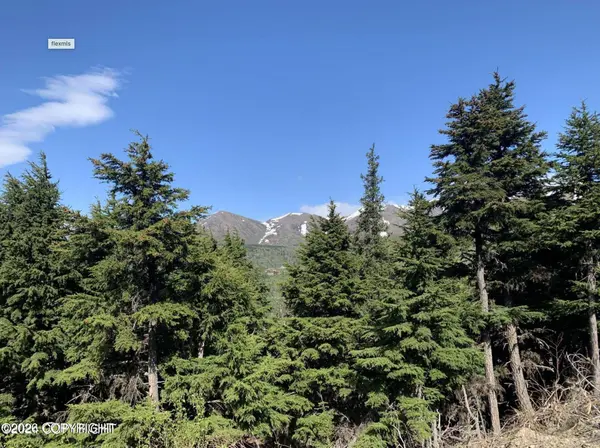 L3 Paine CIR, Anchorage, AK 99516