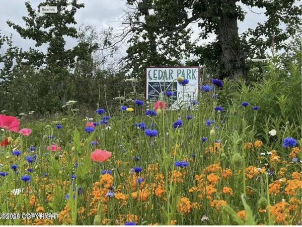 1411 N Cedar Hills DR, Palmer, AK 99645