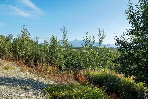 2525 N Larkspur Hill CIR, Palmer, AK 99645