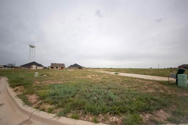 Saint Tower Court, Ransom Canyon, TX 79366