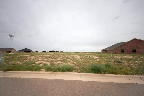 Saint Tower Court, Ransom Canyon, TX 79366