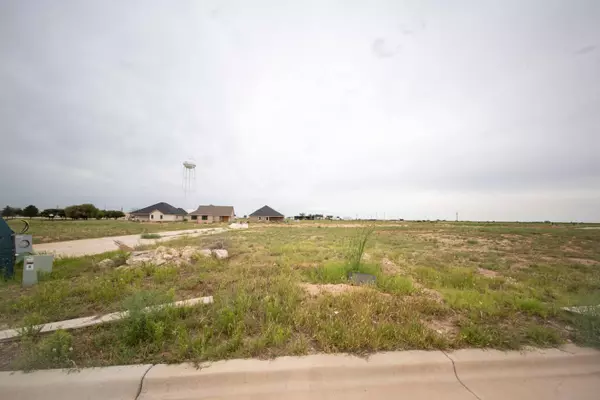 Saint Tower Court, Ransom Canyon, TX 79366
