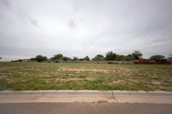 Saint Tower Court, Ransom Canyon, TX 79366