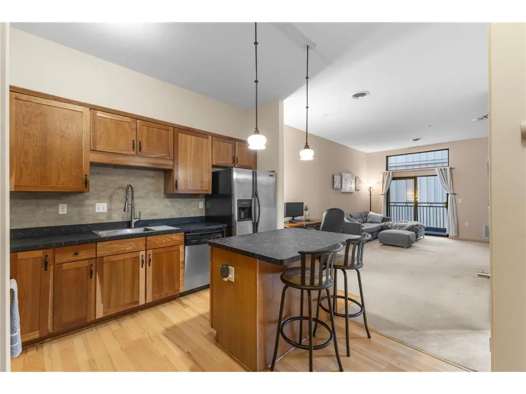 270 4th St E #203, St Paul, MN 55101-2705