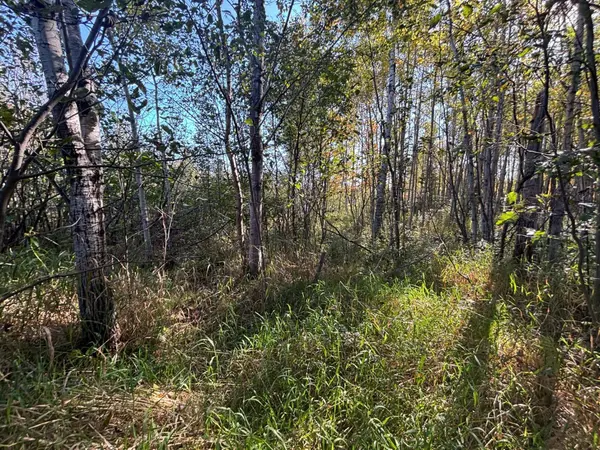 XXX Garfield ST, Cloquet, MN 55720