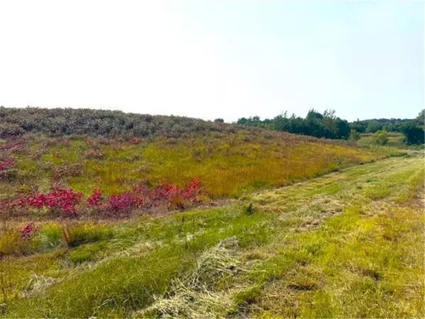 TBD 205th Street, Battle Lake, MN 56515-9277