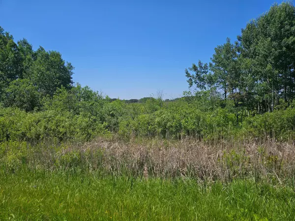 xxx County Road 32, Aitkin, MN 56431