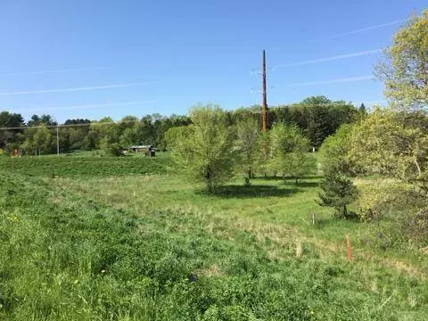 xxx County Road 24 & 63rd Ave, Cannon Falls, MN 55009