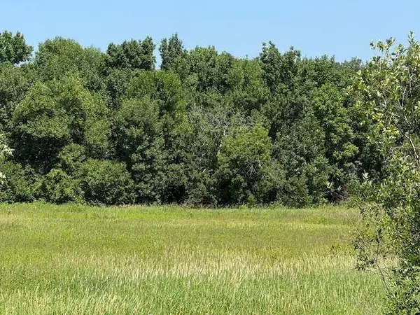 tbd Azalea RD, Motley Twp, MN 56466