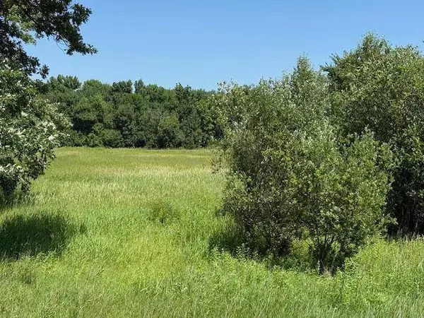tbd Azalea RD, Motley Twp, MN 56466